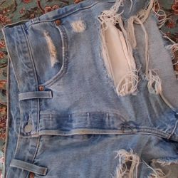 Woman's Levi Shorts