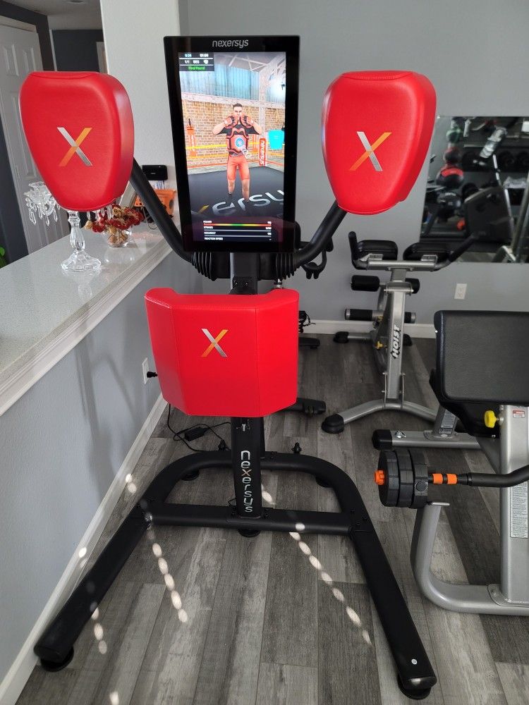 Nexersys Boxing Trainer Interactive SELL Or TRADE. Read Description.