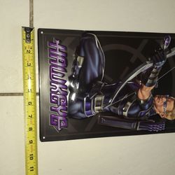 Hawkeys Marvel's Metal Picture 