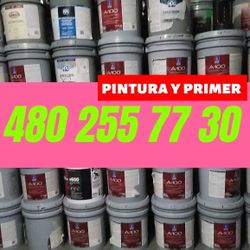 Paint For Sale 