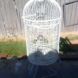 Bird Cage 