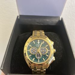 Citizen Eco Drive 