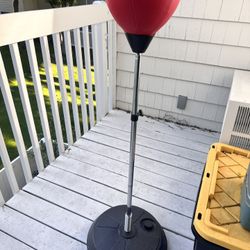 Punching Ball With Boxing Gloves 