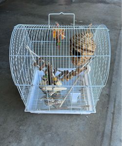 Bird Cage