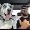 Angelo 