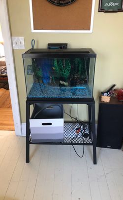 Fish tank with stand a some supply’s