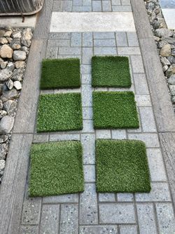 Artificial Grass