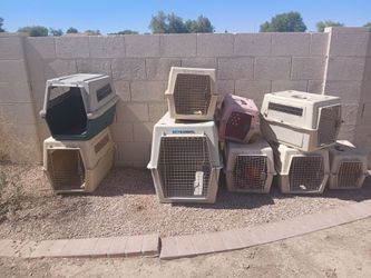 Free dog cage