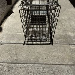 Animal Trap