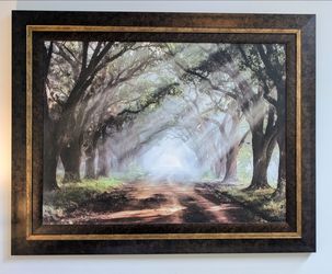 Large Framed Evergreen Plantation Forest Path Wall Art