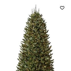 Balsam Hill 6.5 ft. Narrow Artificial Christmas Tree - BH Fraser Fir (Pre-Lit)