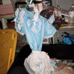 Blue Dress Costume