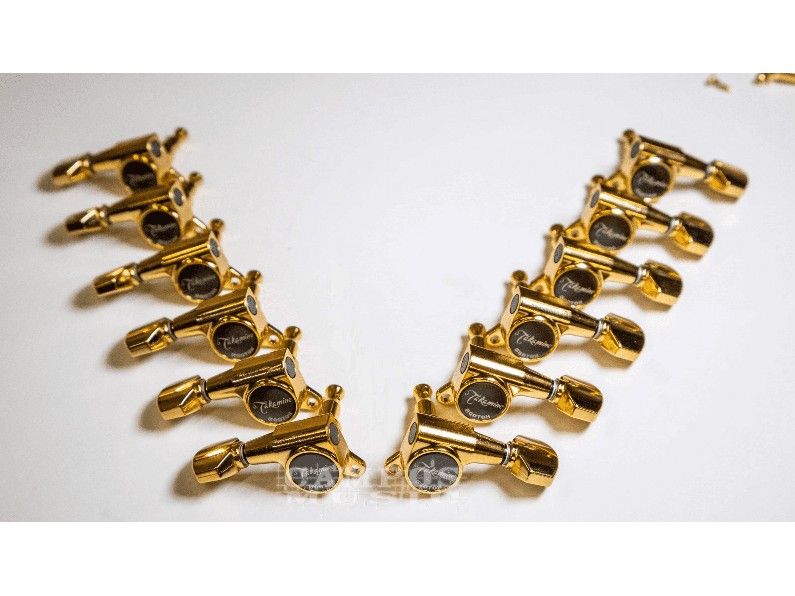 12 Maquinaria TAKAMINE Machine Heads 