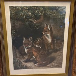 Framed Fox Picture