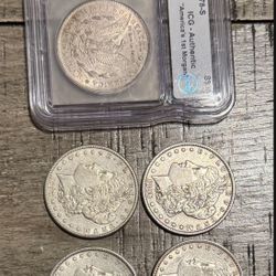 5 Silver Morgan’s 