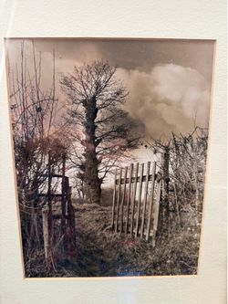 Interesting Overcast Sky Black and White Photograph Print