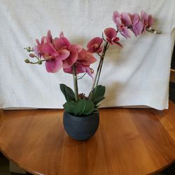FUSHCIA ORCHID (FAUX)