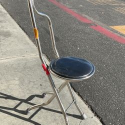 Walking Cane Seat 