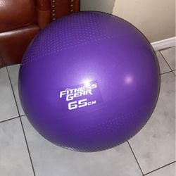 Fitness Ball