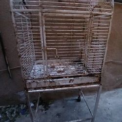 Bird Cage