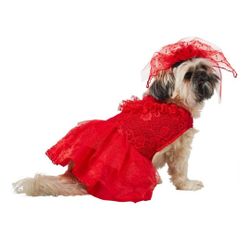 "Lydia" Beetlejuice DOG COSTUME SIZE M