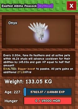 Albino Peacock 60kg+