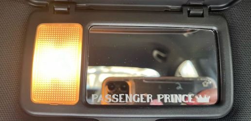 Passenger mirror sticker/princess passenger