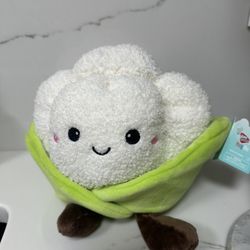 Cauliflower Plush 