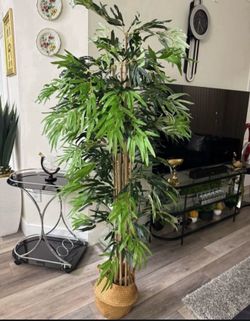 Pretty artificial plant bamboo 6 ft tall! Brand new