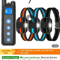 Dog Collars 