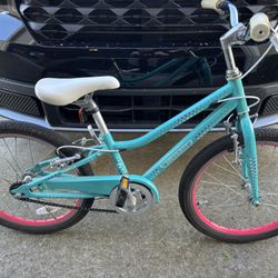 Guardian Kids 20” Bicycle