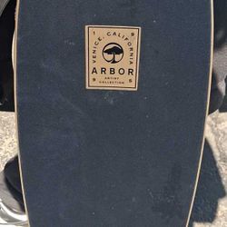 Arbor Skateboards Artist Collection longboard