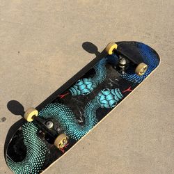 skateboard 