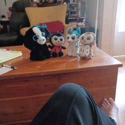 4 Plush Tys.  No Hanging Tags.