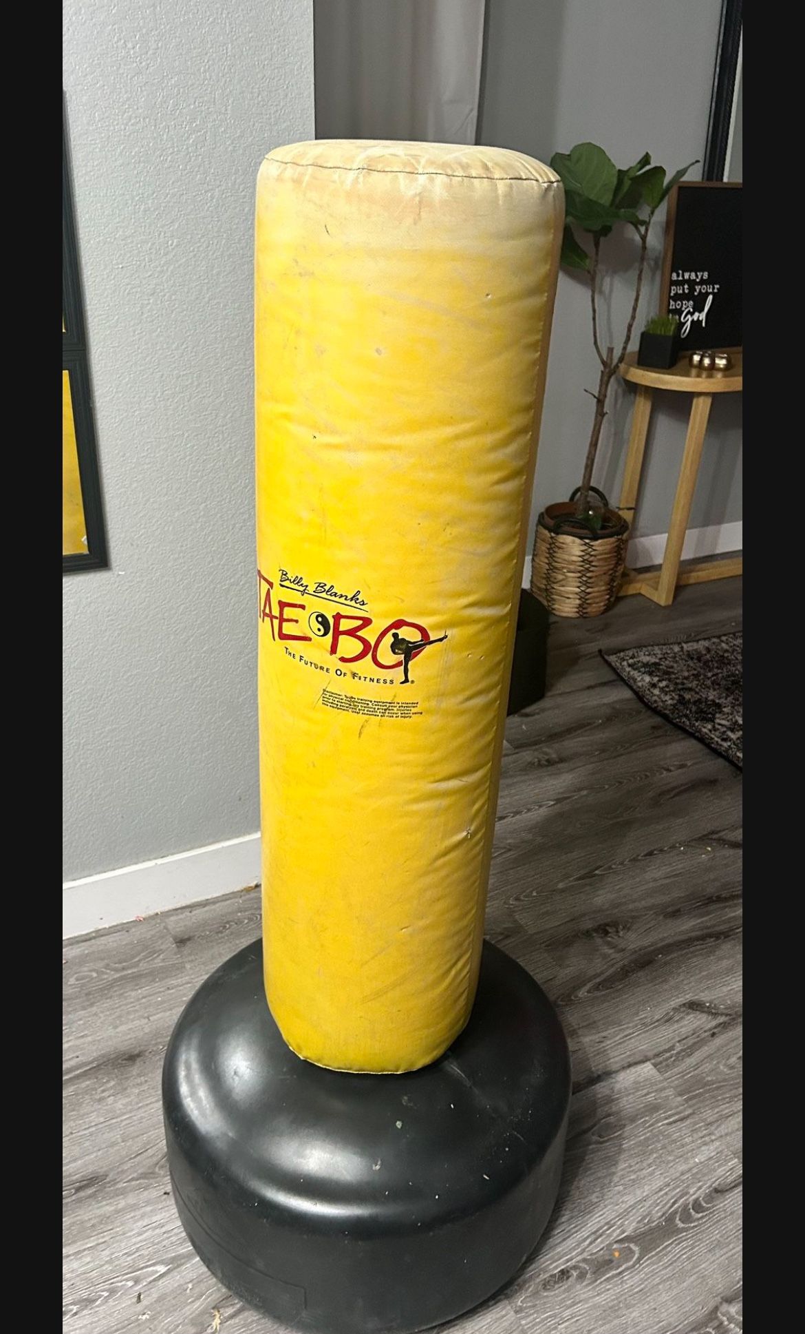 Tae Bo Punching Bag 