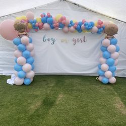 Gender Reveal Decor
