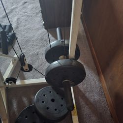 Weight Bench 