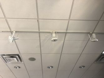 Track lighting (3 per track)