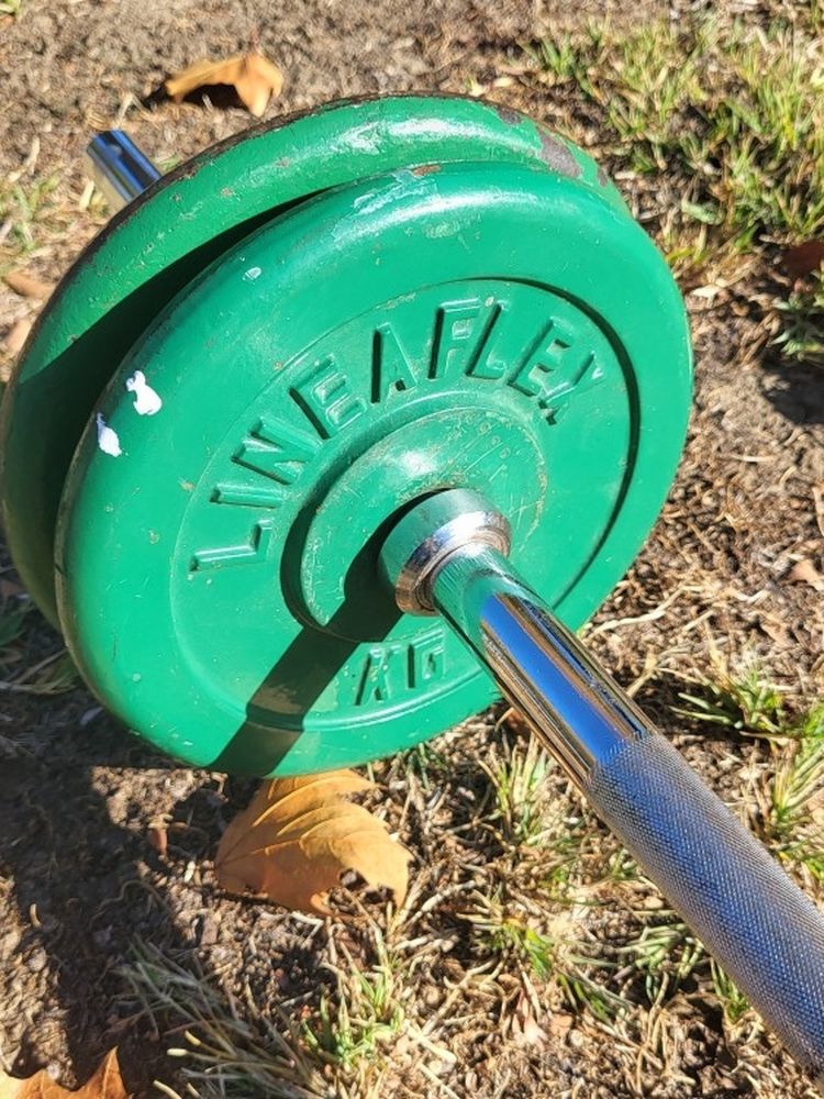 Dumbell 5ft Lifting Weight Bar 13lb 4x 5kg Plates