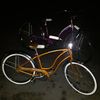 Mr. Lc Schwinn