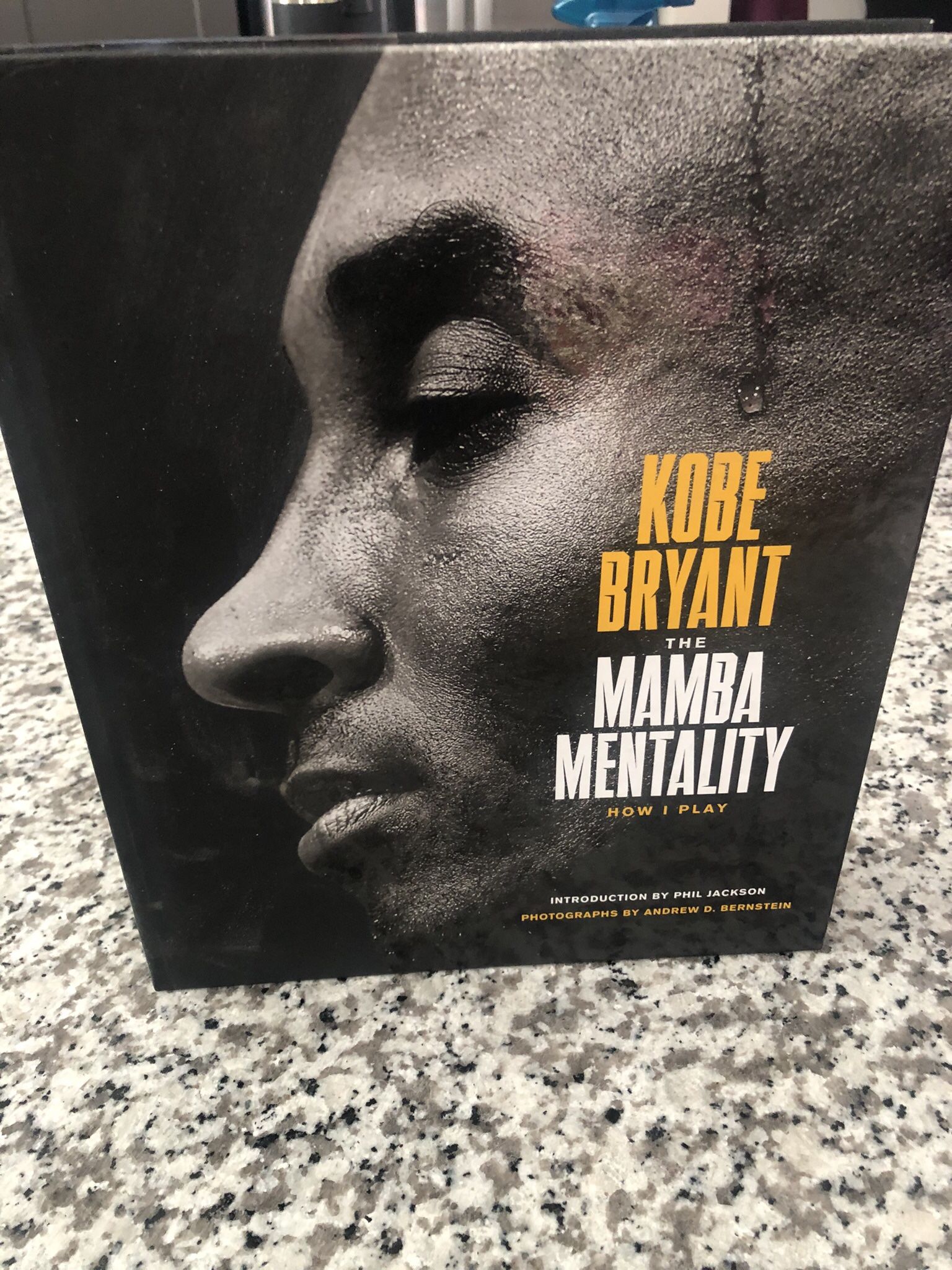 Kobe Bryan mamba Mentality book