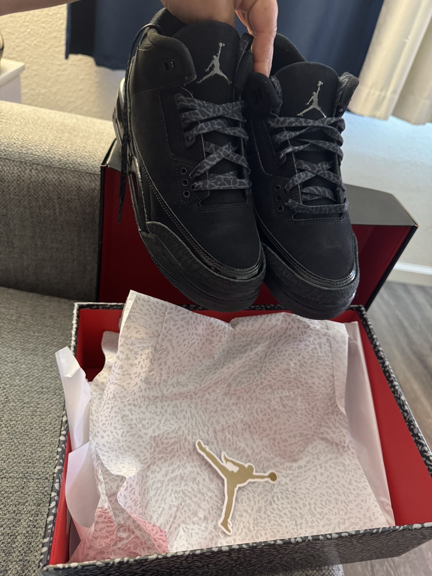 Air Jordan 3 Retro
