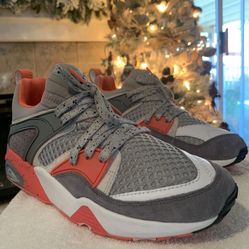 Puma & Staple pigeon Collab Shoe Size 8.5 In Men’s Lamelo Ball