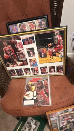 Chicago  Bulls :  Great   Basketball  Players