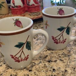 Longaberger Fruit Medley Mugs (4 Mugs)