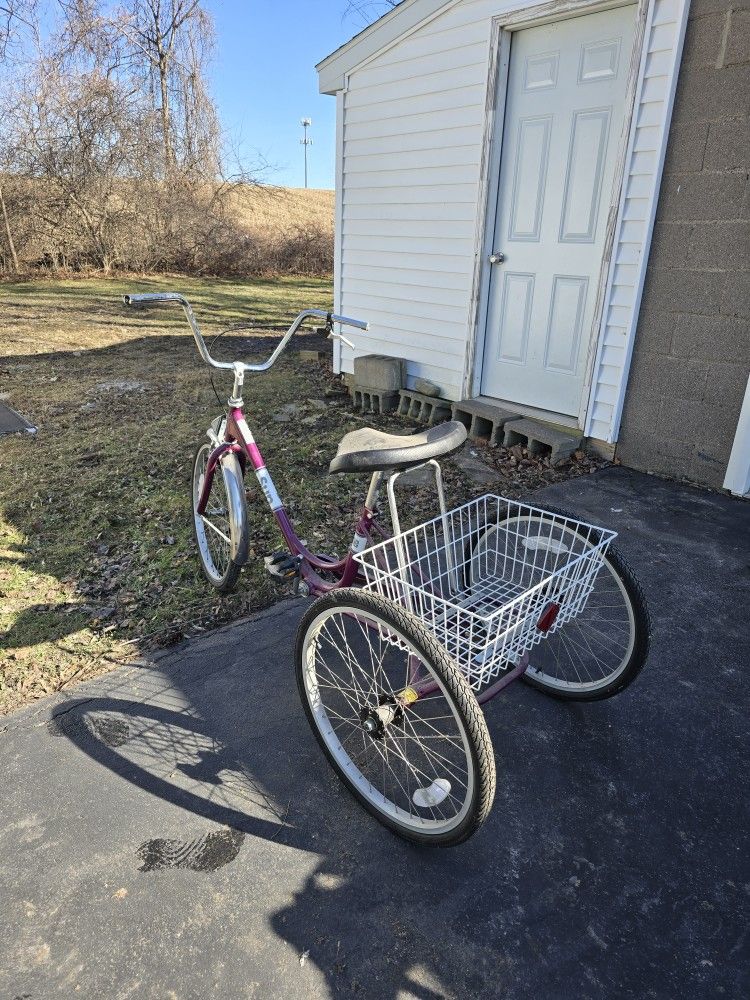 Sun Adult Tricycle