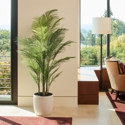 CGH LIFELIKE PALM TREE