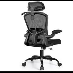 Ergonomic Desk Chair 
