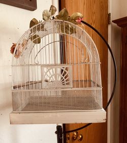 Antique Shabby Bird Cage