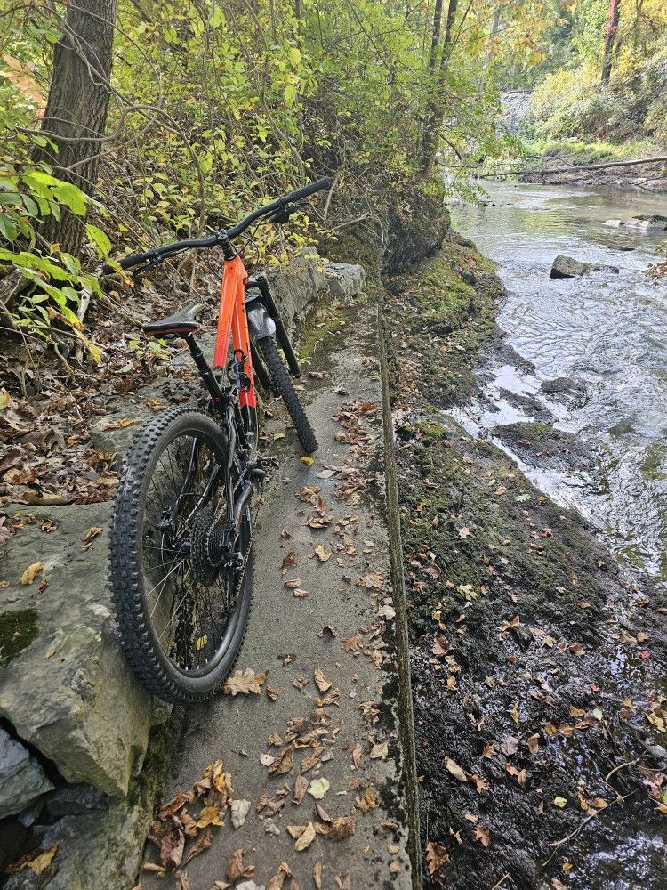 Marin Rift Zone 3